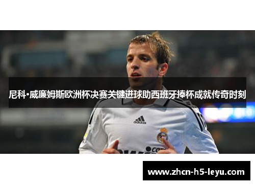 尼科·威廉姆斯欧洲杯决赛关键进球助西班牙捧杯成就传奇时刻